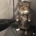 빡세군 디코서버 아이콘