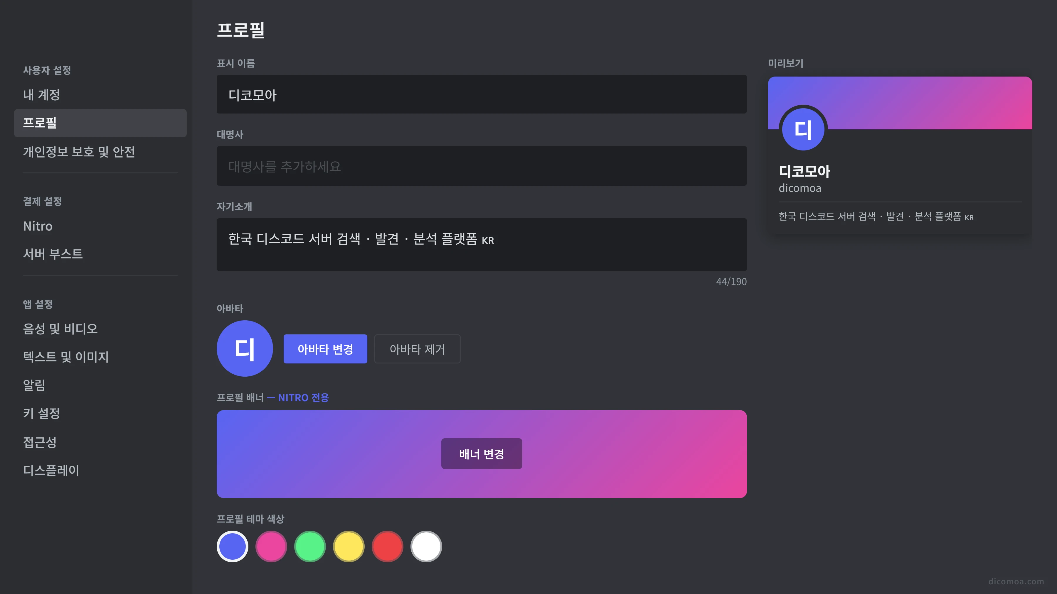 무료 vs 니트로 프로필 기능 비교