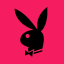 BlackBunny 봇 아바타