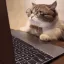 for developer's 디코서버 아이콘