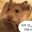 놀이터 디코서버 아이콘