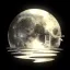 『🌙 │월하 月下』 디코서버 아이콘