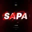 SAPA 디코서버 아이콘
