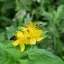Anti-Tech Korea | DISBOARD: Discord 서버 게시판 디코서버 아이콘