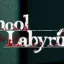 School Labyrinth KR / 미궁교사
