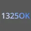 1325OK | 새로운 즐거움 | Developer 디코서버 아이콘