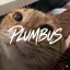 플럼버스 (PLUMBUS) 디코서버 아이콘