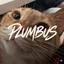 플럼버스 (PLUMBUS) 서버 아이콘