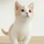 2030MZ 디코서버 아이콘