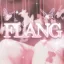 Fℓɑиɢ 디코서버 아이콘