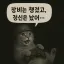 장비는 챙겼고, 정신은 놨어... 디코서버 아이콘