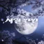 시절인연 | 서버 재정비중 디코서버 아이콘