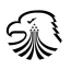 Roblox Black Eagles