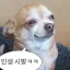비밀 공간 디코서버 아이콘