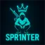 SPR1NTER 디코서버 아이콘