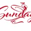 SunDay Brainrot Shop 디코서버 아이콘