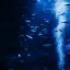 【아쿠아리움】