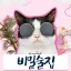 🎠 [ 신생 ] 비밀술집 : Rotation game place 디코서버 아이콘