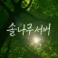 솔나무 디코서버 아이콘