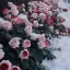 화괴：花怪 디코서버 아이콘