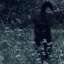 ପଓ¸¸. 나비숲 디코서버 아이콘