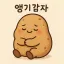 앵기감자 디코서버 아이콘