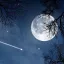 [성 월 각] | [星月閣] 디코서버 아이콘