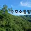 수호 소통방(변경) 디코서버 아이콘