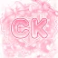CK 디코서버 아이콘
