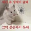 들어와 디코서버 아이콘