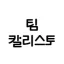 Team. Callisto 디코서버 아이콘