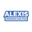 Team Alexis 디코서버 아이콘