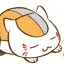 롤냥이 디코서버 아이콘