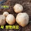 나락행 열차 디코서버 아이콘